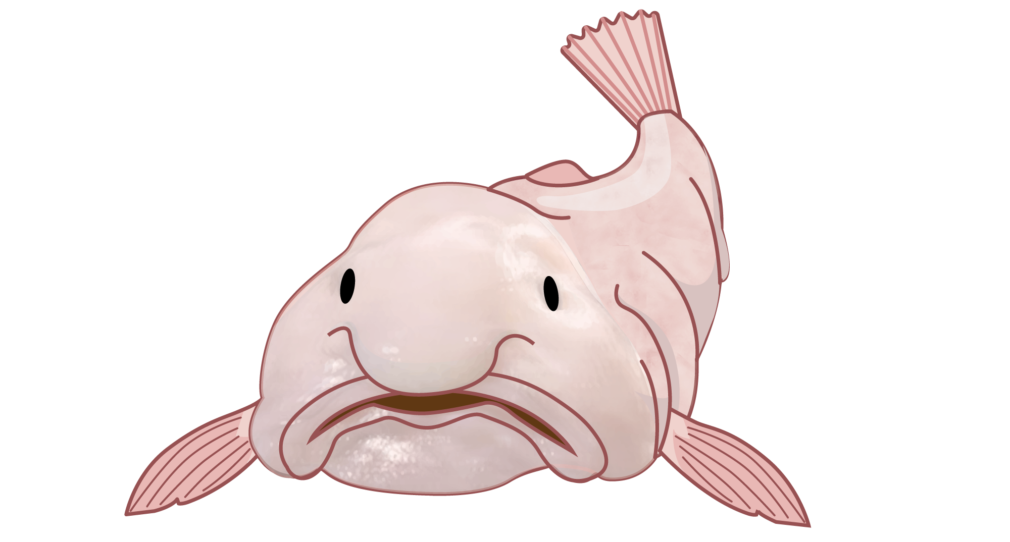 blobfish